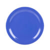 PLATO EXTENDIDO 6.5" (16.5 cms)