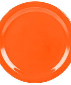 PLATO EXTENDIDO 10" (25.4 cms)