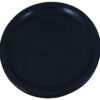 PLATO EXTENDIDO 9" (22.9 cms)